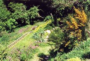 Part of the garden Part of the garden